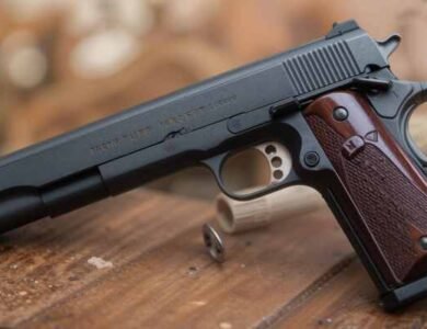 Colt Defender