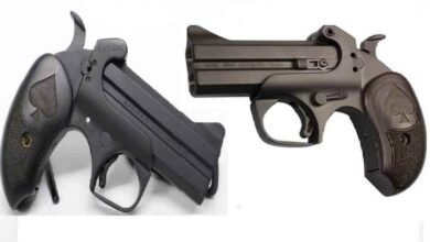 Bond Arms