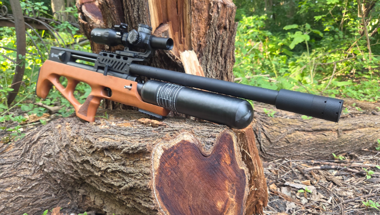 Backyard Target Shooting
